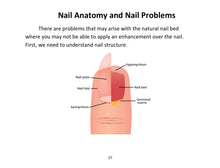 Load image into Gallery viewer, The Nail Manual